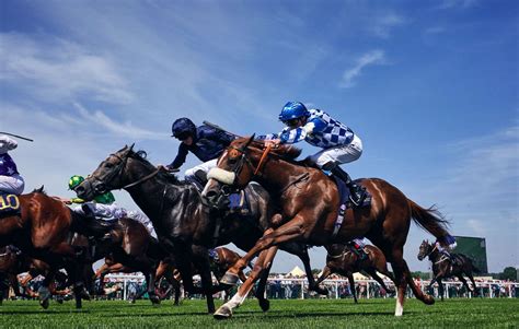 Royal Ascot Tips: Horse.